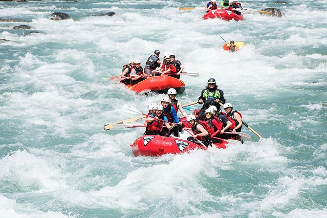 Full-Day Kitulgala White Water Rafting Tour from Colombo - What the Rafting Run Feels Like