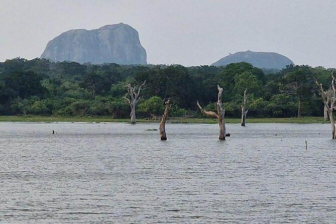 Full Day Private Yala Safari Trip with Lunch - Who should book this Yala day trip?