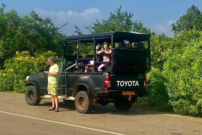 Full Day Private Yala Safari Trip with Lunch - Wildlife watching without a guaranteed leopard