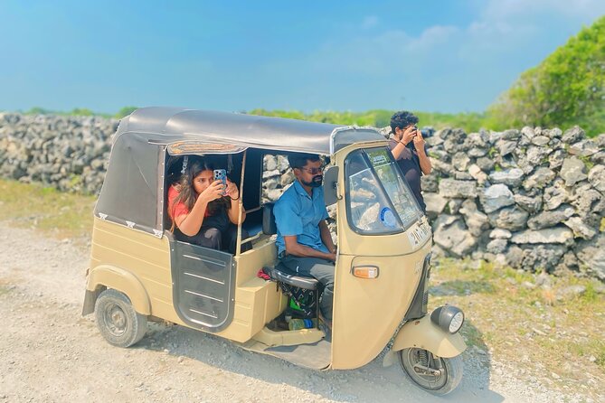 Full Day Tour Delft and Nainativu Island Adventure from Jaffna - Baobab, banyan, and the mysterious Growing Stone