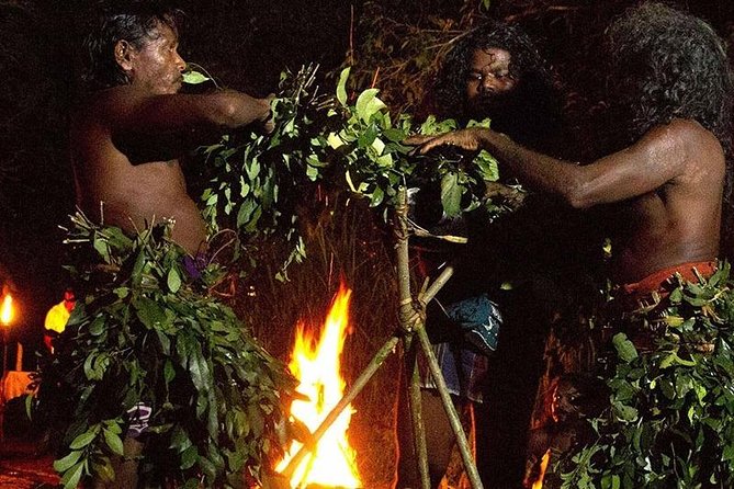 Full Day Tour to Remote Jungle Village - Meeting the Indigenous community in Dambana