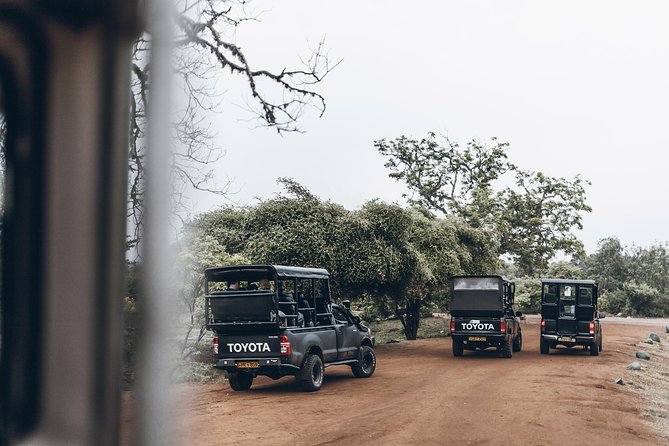 Full Day Yala Safari with Picnic Lunch from Hambantota Harbour - The first game drive and the midday pause