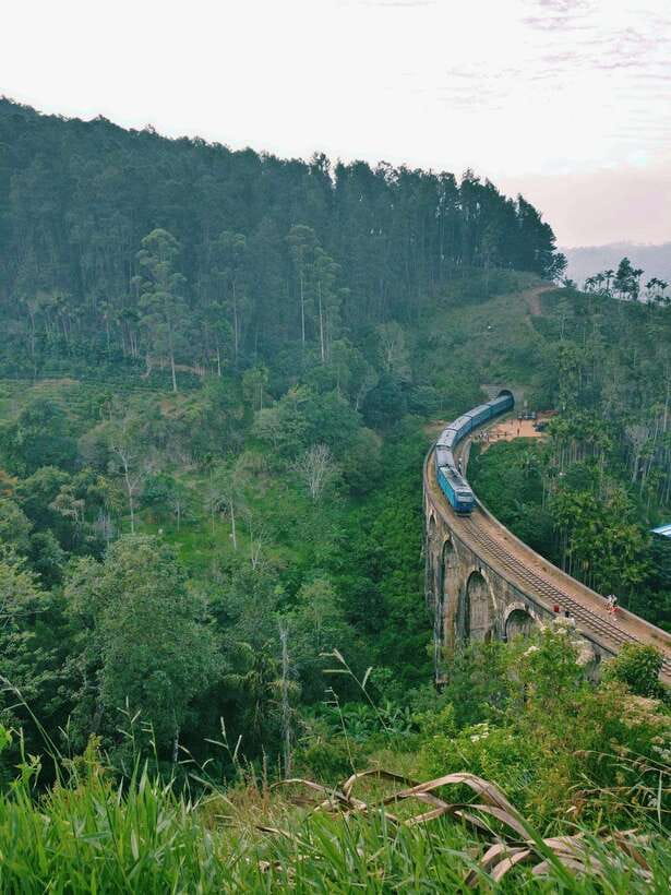 Fully-Loaded Sri Lanka | FREE trip to Sigiriya and Dambulla - Five useful points before you book