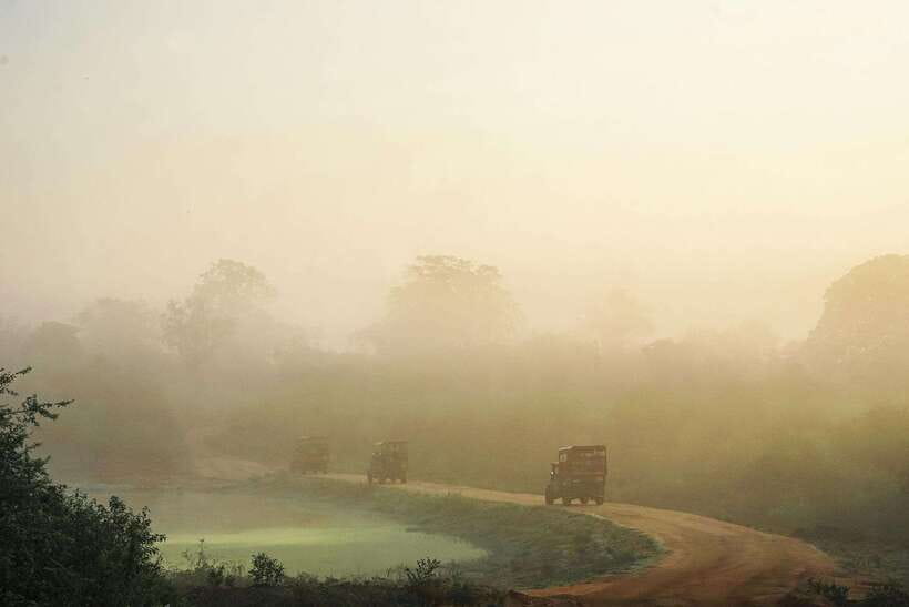 Fully-Loaded Sri Lanka | FREE trip to Sigiriya and Dambulla - Should you book this Sri Lanka tour?