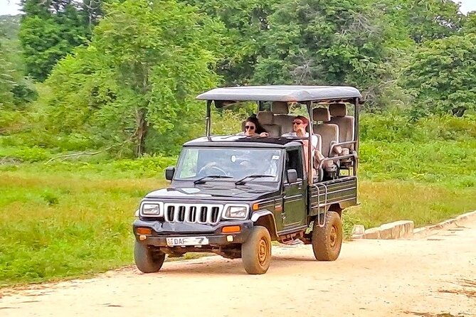 Fully Private Udawalawe National Park Safari Tour - Three hours among elephants and birds