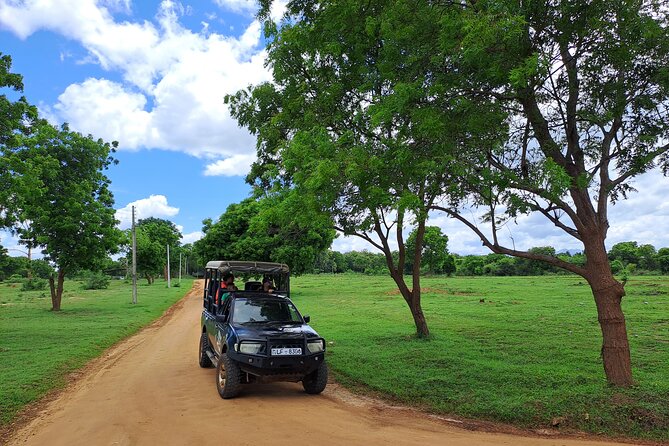 Fully Private Udawalawe National Park Safari Tour - Lunch helps, but check the total price
