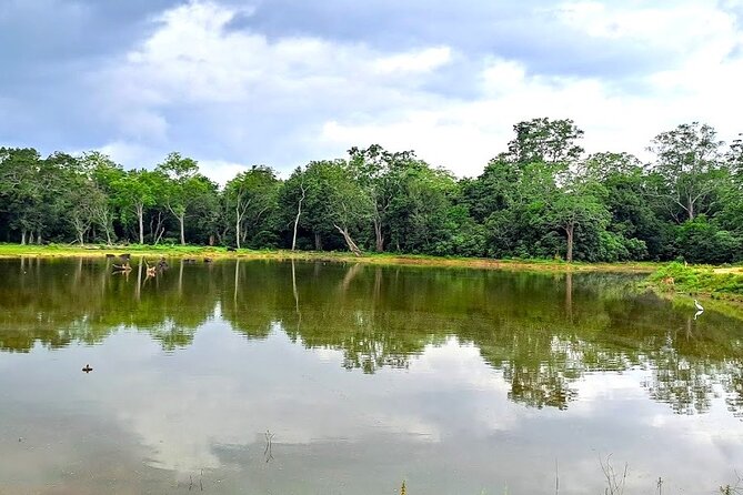 Fully Private Udawalawe National Park Safari Tour - What makes the organization useful