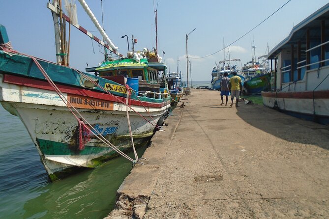 Fun and Scenic Negombo Tour by Tuk Tuk - The beach fish market and Negombo’s working waterfront