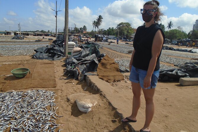 Fun and Scenic Negombo Tour by Tuk Tuk - Negombo Beach and the Hamilton Canal