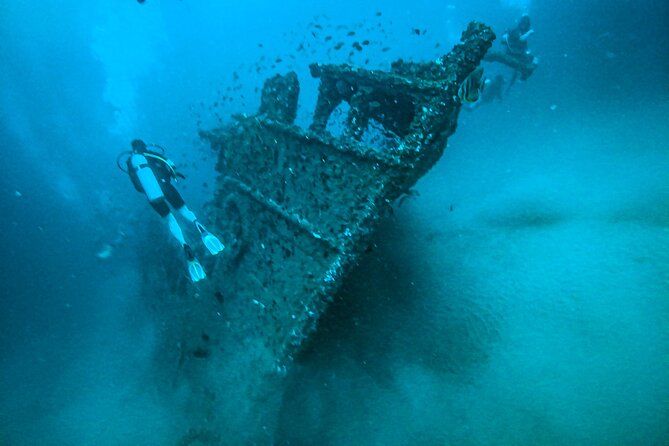 Fun Dives For Certified Divers - What the Unawatuna outing is really like