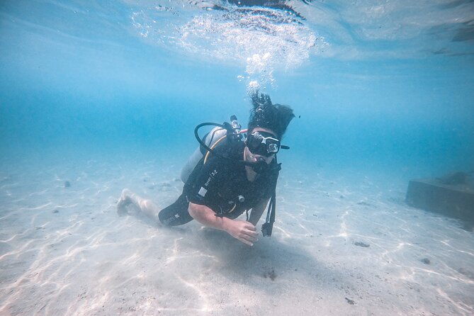 Fun Dives For Certified Divers - The underwater sites and marine life