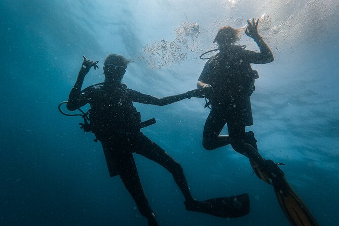 Fun Dives For Certified Divers - Price and what you receive for $54.42