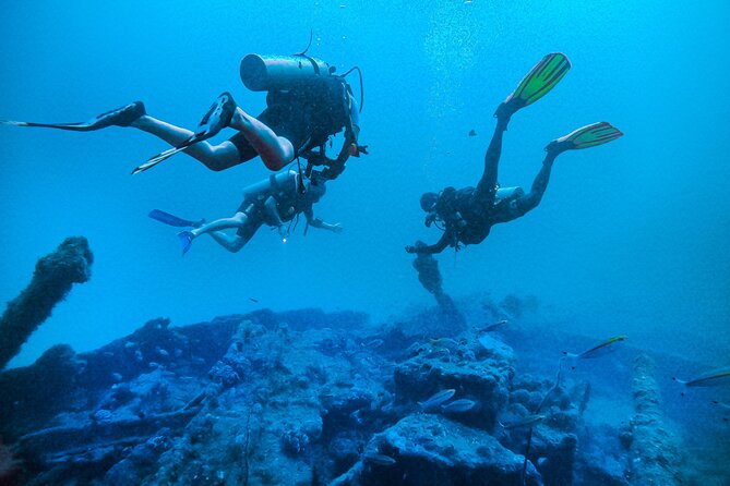 Fun Dives For Certified Divers - Who should book this experience