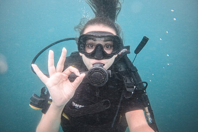 Fun Dives For Certified Divers - Choosing one session or two