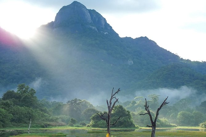 Gal Oya National Park Safari - The Elephants of Senanayake Samudra