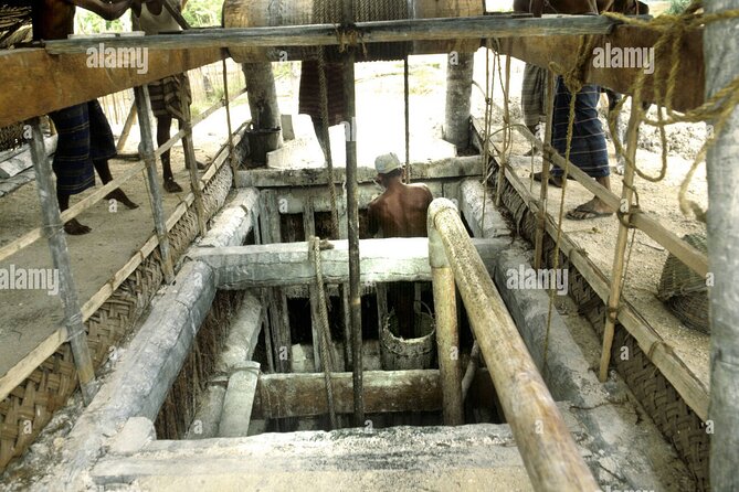 Galle and Bentota Day Tour From Colombo and Negombo - Cinnamon, local work, and what makes the river stop useful