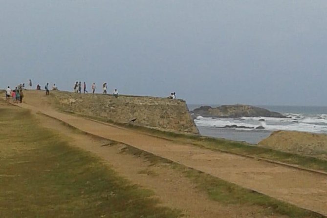 Galle City Day-Tour from Mirissa - Tea Factory, Spice Garden, and Turtle Stops