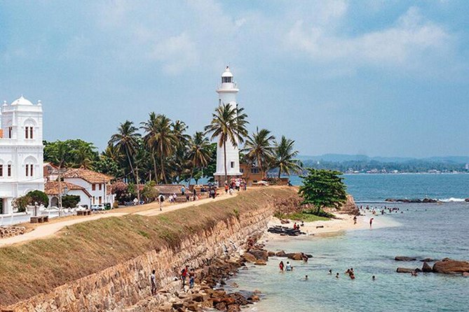 Galle City Tour And Shopping - Mahamodara Turtle Farm: A Short Wildlife Stop