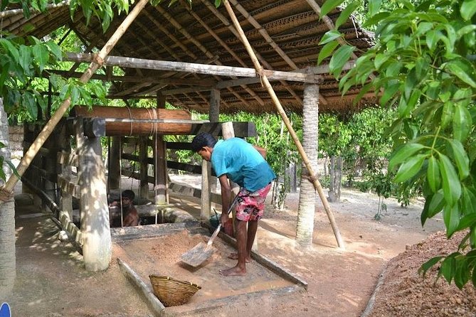 Galle Day Private Tour Beruwala/Bentota/Kosgoda/Ahungalla - Starting with turtles at Induruwa