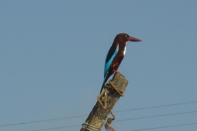 Galle Day Tour: Boat Safari, Dutch Fort, Stick Fishing & Turtles - Remembering the 2004 tsunami