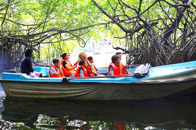 Galle Day Tour from Colombo or Negombo by Private Car , Van with Driver - Two hours on the Madu River