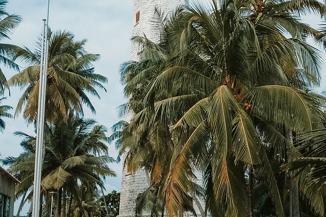 Galle Day Tour with Train Ride from Colombo or Negombo - Madu River Safari through mangroves