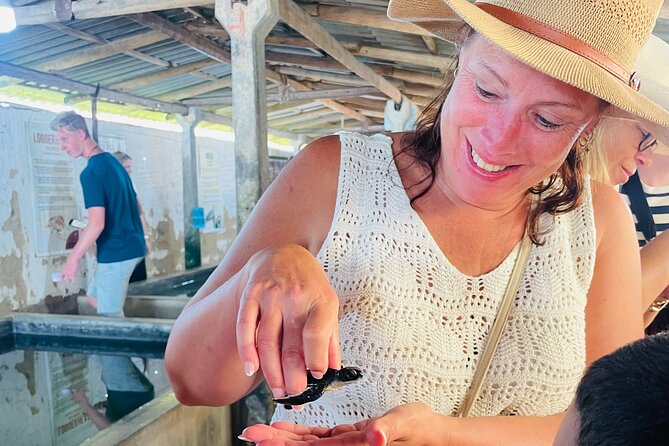 Galle Day Tour with Turtle Hatchery & River Boat Safari - Why this seven-hour route works