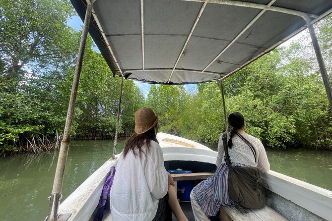Galle Day Tour with Turtle Hatchery & River Boat Safari - The turtle hatchery and the sea turtle visit