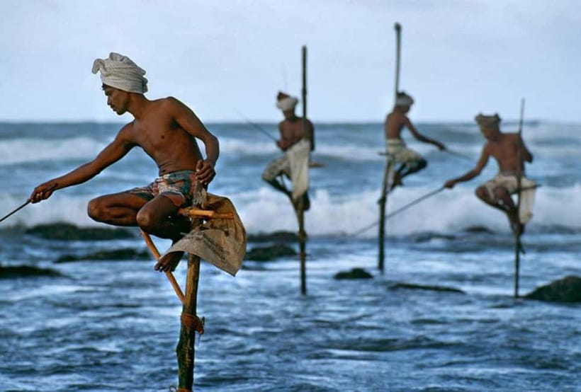 Galle Day Trip - River Safari, Sea Turtle & Stilt Fishermen - Five Things That Make This Trip Worth Considering