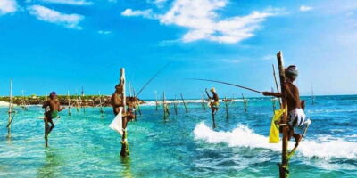 Galle Day Trip – River Safari, Sea Turtle & Stilt Fishermen