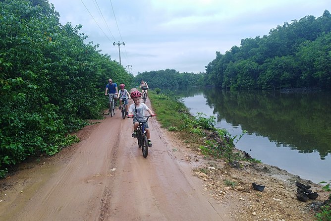 Galle Family Fun Bike Ride - Bikes, helmets, and the baby seat