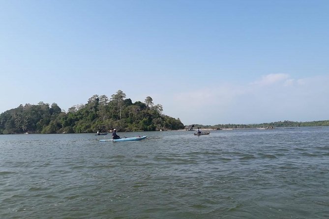 Galle Fort, Turtle, - Private Day Tour From Negombo or Colombo - Why this private route makes sense