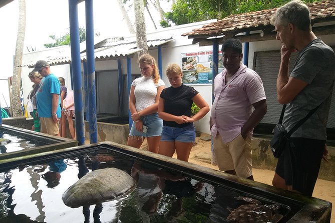 Galle sightseeing tour - Galle Fort in one focused hour