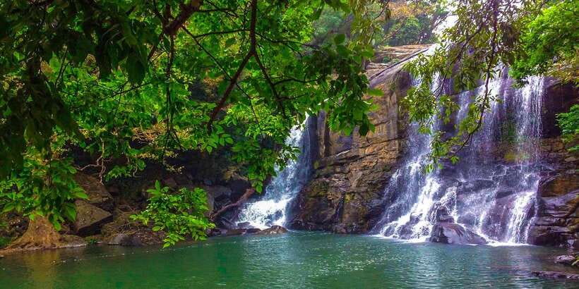 Galle/Weligama/Mirissa/Hiriketiya/Tangalle: Day Trip to Ella - Little Adam’s Peak is a gentle hike with real steps