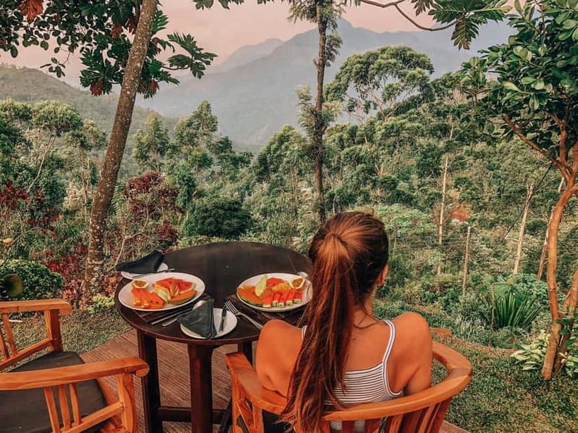 Get a private driver for day tours around Sri Lanka - Key points before you book