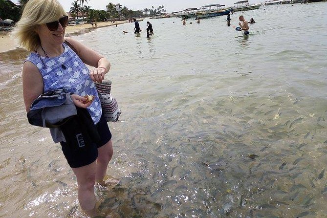 Glass Bottom Boat Tour and Snorkeling Hikkaduwa - Weather, Timing, and Cancellation