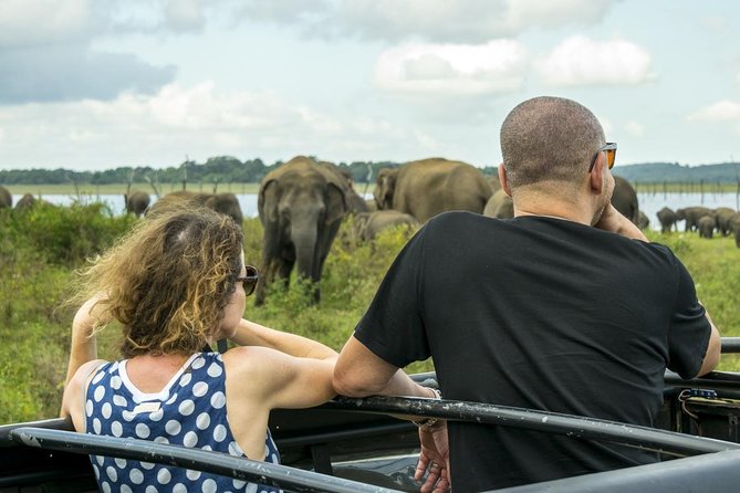 GO WILD! Double Safari Day Trip (Yala & Udawalawe) - Private & All Inclusive - What to expect at the Elephant Transit Home