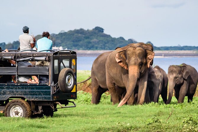 GO WILD! Double Safari Day Trip (Yala & Udawalawe) - Private & All Inclusive - The long ride from Galle and the southern coast
