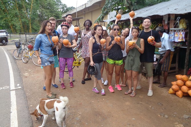 Half-Day Lagoon and Village Cycling Tour in Galle - A Buddhist temple and a glimpse of village culture