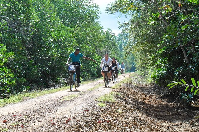 Half-Day Lagoon and Village Cycling Tour in Galle - Following dirt tracks to the lagoon