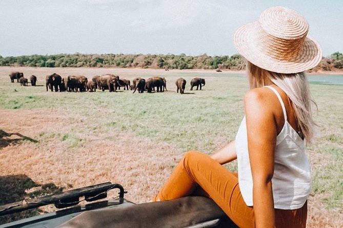 Half Day Minneriya National Park Safari from Habarana - Who will enjoy this safari most?