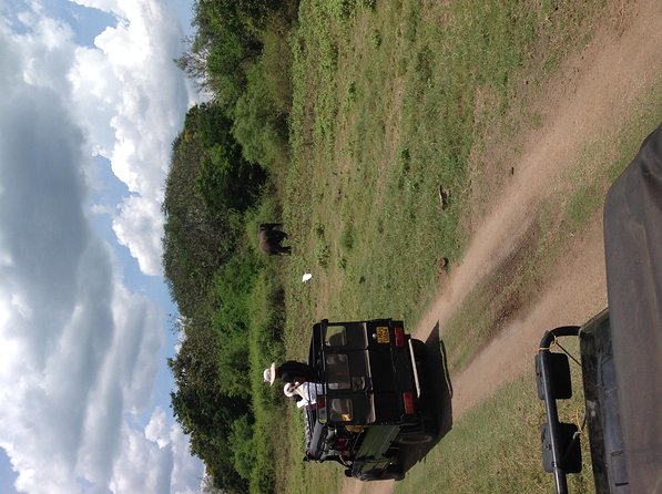 Half Day - Minneriya National Park Safari Tour From Habarana/Sigiriya - From your hotel to the park by private 4x4