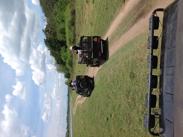 Half Day - Minneriya National Park Safari Tour From Habarana/Sigiriya - Price, park fees, and overall value