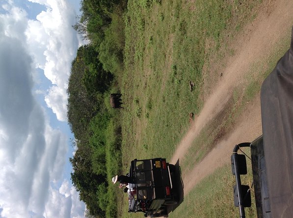 Half Day - Minneriya National Park Safari Tour From Habarana/Sigiriya - Three hours inside Minneriya National Park