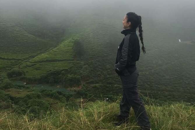 Half-Day Private Trip to Waterfalls and Tea Factory - Gregory Lake or your hotel: a useful finish