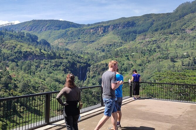 Half-Day Private Trip to Waterfalls and Tea Factory - Guides, photo stops, and the private advantage