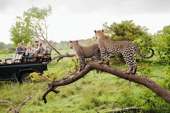 Half Day Safari at Yala National Park with Lunch - What the included lunch adds to the day
