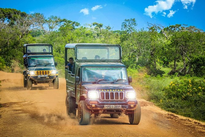 Half Day Safari at Yala National Park with Lunch - Is $189 good value from Galle?