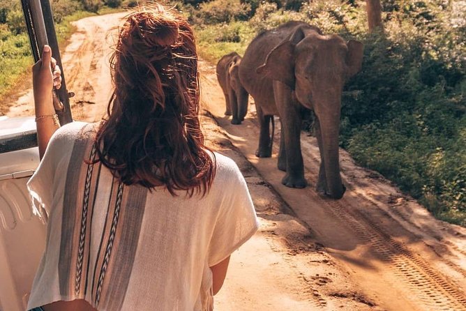 Half Day Udawalawe Safari from Kalutara (Entrance + Lunch) - Key points before you book