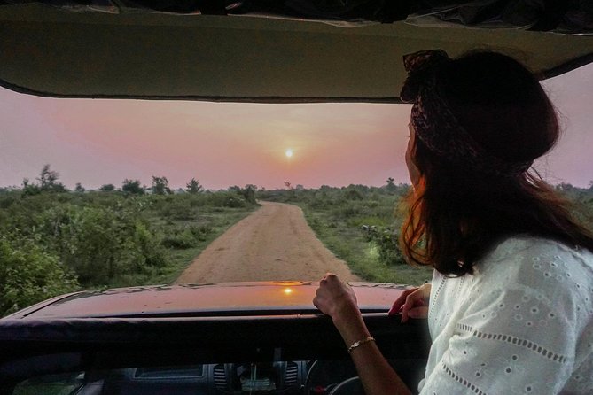 Half Day Udawalawe Safari from Kalutara (Entrance + Lunch) - Who will enjoy this safari most